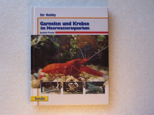 Ihr Hobby Garnelen und Krebse im Meerwasseraquarium