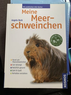 gebrauchtes Buch – Beck, Peter; Beck – Meine Meerschweinchen