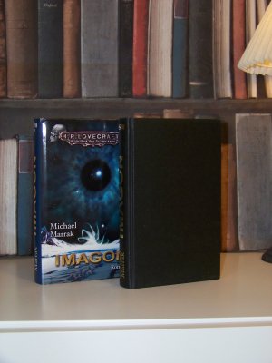 gebrauchtes Buch – Michael Marrak – Imagon