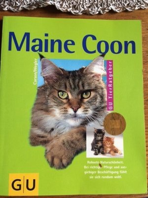 Maine Coon    125