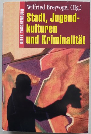 Stadt, Jugendkulturen und Kriminalität