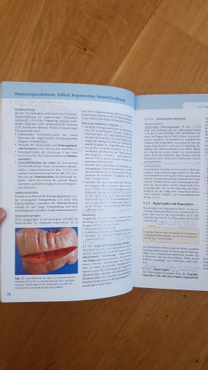 gebrauchtes Buch – Roessner, Albert; Kirchner – Kurzlehrbuch Pathologie