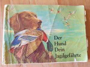 gebrauchtes Buch – Ehrgott, Raeder – Der Hund Dein Jagdgefährte