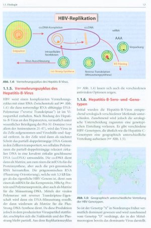 gebrauchtes Buch – Markus Peck-Radosavljevic (Autor) – Leitfaden der chronischen Infektionskrankheiten der Leber