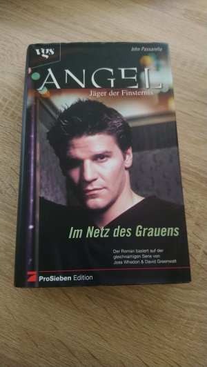 gebrauchtes Buch – Passarella, John – Angel - Jäger der Finsternis