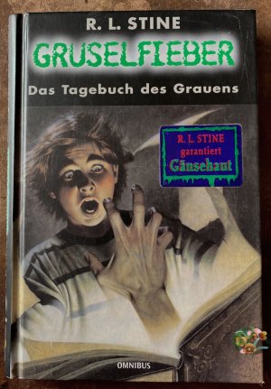 gebrauchtes Buch – Stine, Robert L – GRUSELFIEBER - Das Tagebuch des Grauens