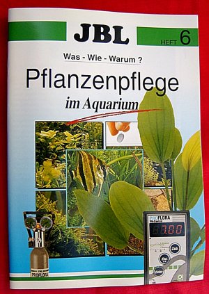 PFLANZENPFLEGE IM AQUARIUM