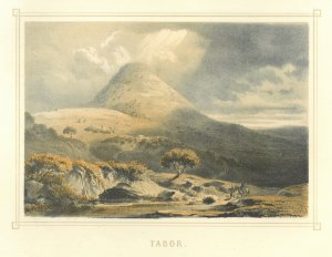 gebrauchtes Buch – Blick zum Berg Tabor.