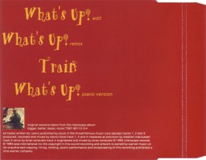 gebrauchter Tonträger – 4 Non Blondes – What's Up