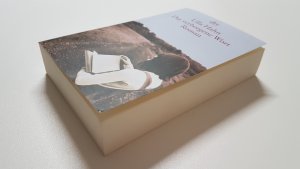 gebrauchtes Buch – Ulla Hahn – Das verborgene Wort