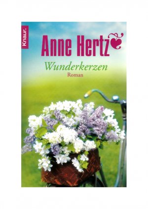 gebrauchtes Buch – Anne Hertz – Wunderkerzen.