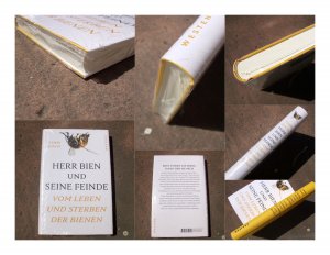 gebrauchtes Buch – Timm Koch – Herr Bien und seine Feinde. Vom Leben und Sterben der Bienen. Mit zahlreichen Schwarzweißfotografien. Umschlaggestaltung durch Buchgut, Berlin.