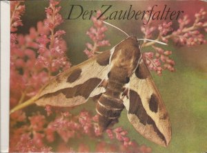 Der Zauberfalter