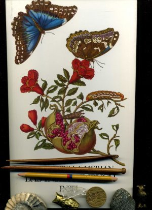 antiquarisches Buch – Maria Sibylla Merian – Maria Sibylla Merian. Das Insektenbuch.