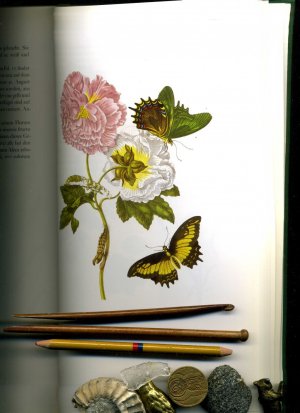 antiquarisches Buch – Maria Sibylla Merian – Maria Sibylla Merian. Das Insektenbuch.