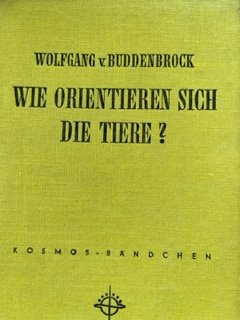 antiquarisches Buch – Wolfgang von Buddenbrock – Wie orientieren sich Tiere