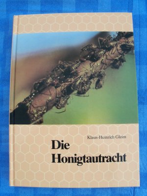 Die Honigtautracht