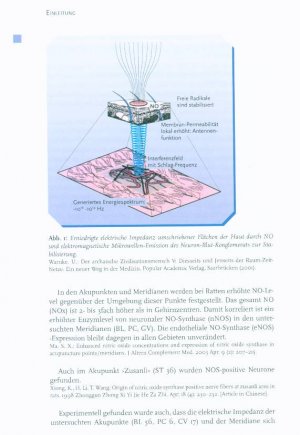 gebrauchtes Buch – Dirk Leiner – Regulationsmedizin in Theorie und Praxis. Band 2 - Ein Lehrbuch zur elektronischen Systemdiagnostik für Einsteiger und Fortgeschrittene