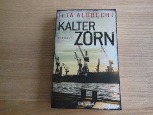 Kalter Zorn