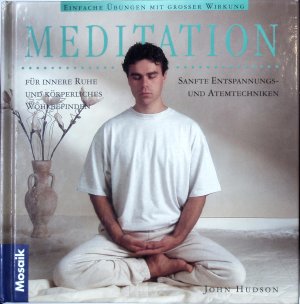 gebrauchtes Buch – John Hudson – Meditation