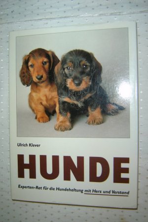 gebrauchtes Buch – Ulrich Klever – Hunde