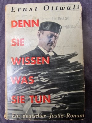 Denn sie wissen was sie tun. Ein deutscher Justiz-Roman.