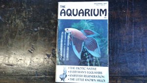 the aquarium