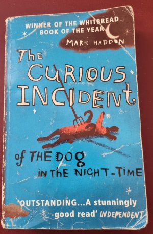 gebrauchtes Buch – Mark Hadden – The Courious Incident