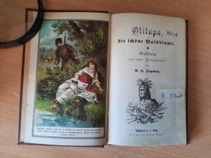 antiquarisches Buch – A.H.Fogowitz – OLITOPA, die schöne Waldblume,  Erzählung aus dem Indianerleben