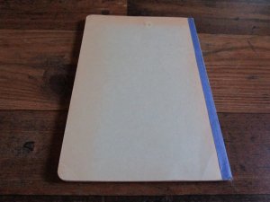 antiquarisches Buch – Ernst Karl, Dr – Südwestdeutschland und die angrenzenden Landschaften von Süddeutschland - Geographische Weltkunde