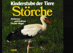 Störche