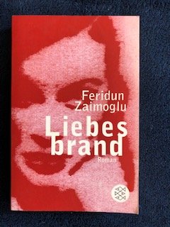 gebrauchtes Buch – Feridun Zaimoglu – Liebesbrand