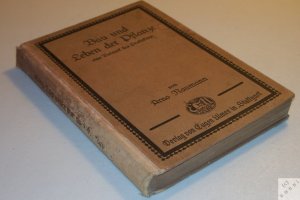 antiquarisches Buch – Arno Naumann – Bau und Leben der Pflanze. eine Botanik des Praktikers. 1926