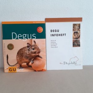 gebrauchtes Buch – Alexandra Beißwenger – Degus