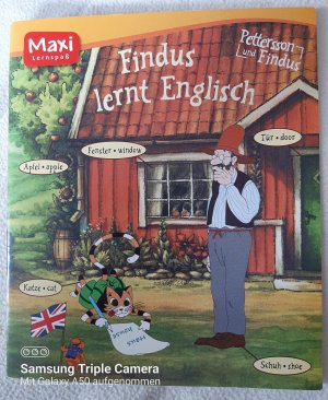 gebrauchtes Buch – Lena Steinfeld – Pettersson & Findus - Findus lernt Englisch