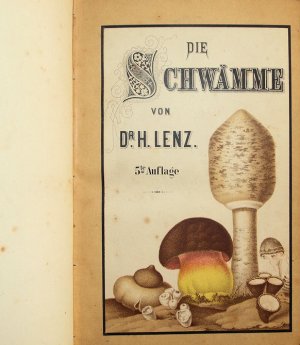 Die Schwämme ( alter Begriff für Speise-und Giftpilze). Nützliche, schädliche und verdächtige