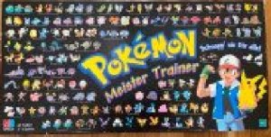 gebrauchtes Spiel – Pokemon Meister Trainer