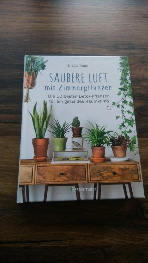 Saubere Luft mit Zimmerpflanzen - Die 50 besten Detox-Pflanzen für ein gesundes Raumklima. Basiert auf der NASA "Clean Air Study"