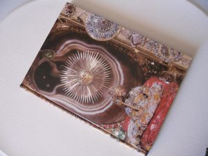 gebrauchtes Buch – Die Schätze des "Günen Gewölbes" in Dresden