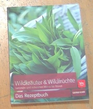 gebrauchtes Buch – Gertrud Scherf – Wildkräuter & Wildfrüchte Das Rezeptbuch - Sammeln und zubereiten Monat für Monat