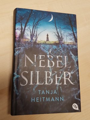 gebrauchtes Buch – Tanja Heitmann – Nebelsilber