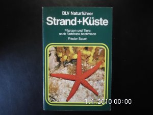 Strand + Küste