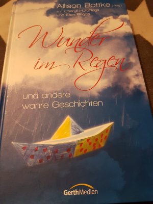 gebrauchtes Buch – Allison Bottke – Wunder im Regen - und andere wahre Geschichten