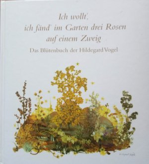 Ich wollt', ich fänd' im Garten drei Rosen auf einem Zweig. Das Blütenbuch der Hildegard Vogel.