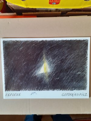 gebrauchtes Buch – Kunsthalle Bielefeld – Gottfried Pilz - Reflexe