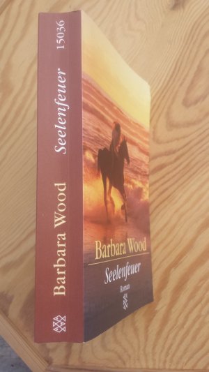 gebrauchtes Buch – Barbara Wood – Seelenfeuer