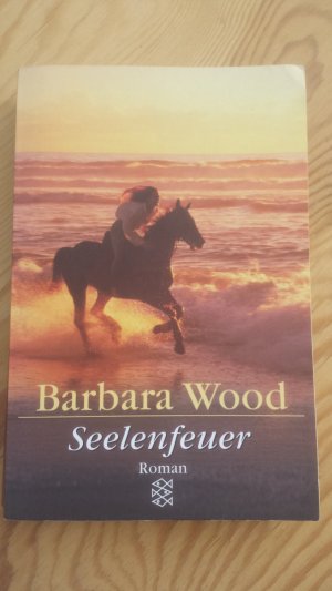 gebrauchtes Buch – Barbara Wood – Seelenfeuer