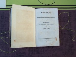 Wanderungen in Ungarn und unter seinen Bewohnern, Wilhelm Richter, 1844, selten!