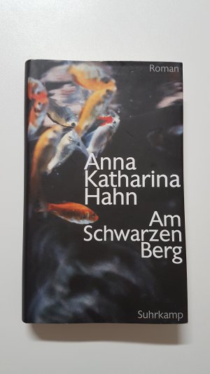 gebrauchtes Buch – Anna Katharina Hahn – Am Schwarzen Berg