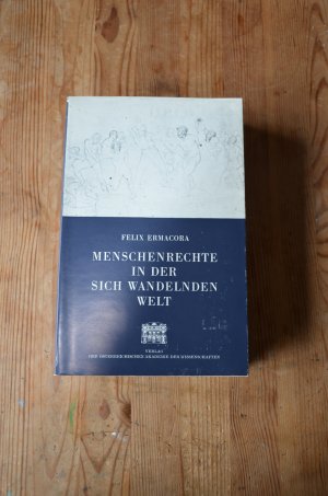 Menschenrechte in der sich wandelnden Gesellschaft 1. Band